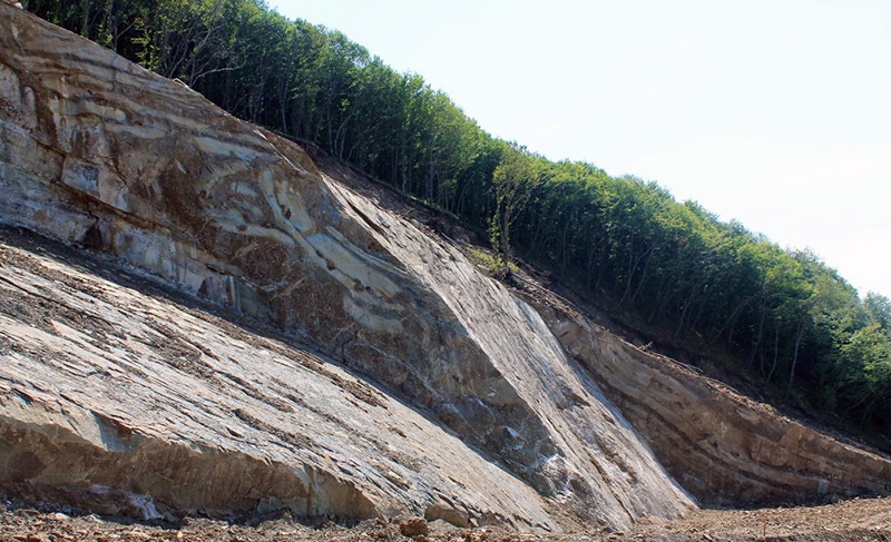 Geological survey of the landslide zone of Tskneti-Samadlo road